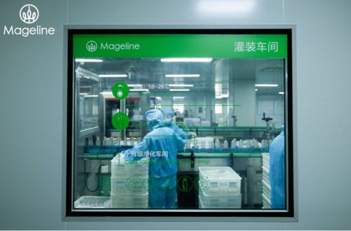 堅守安全品質(zhì)——麥吉麗參與制定化妝品無汞化團(tuán)體標(biāo)準(zhǔn)，引領(lǐng)行業(yè)安全發(fā)展