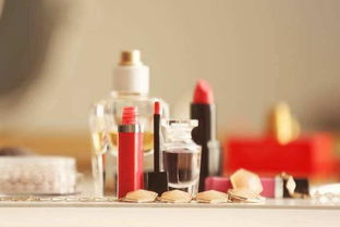 大學生村官開網店 用通訊設備連接鄉村與現代商機